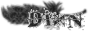 dixn